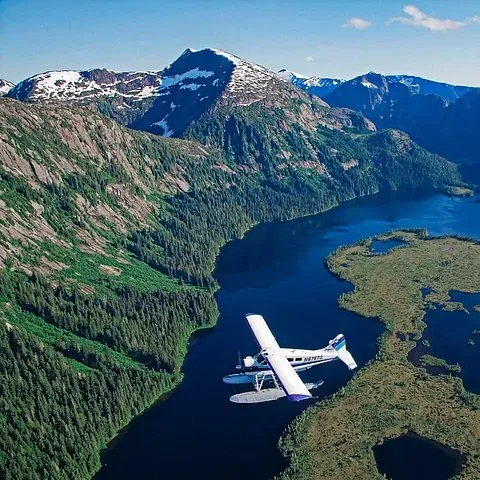 The plane over a green island
